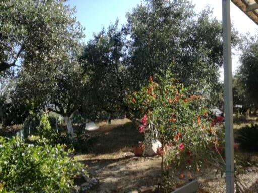 Sunny Holiday Home Kalamata Exterior photo